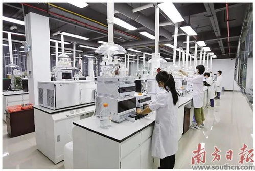 蓬江 以科技創新為引擎，新材料研發驅動產業升級